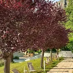 Le Refuge Des Sources Hotel 3*